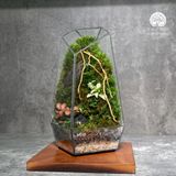 Terrarium