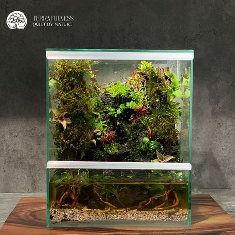 Bể Terrarium Bán Cạn - Chữ Nhật - Trang Trí Bàn Làm Việc