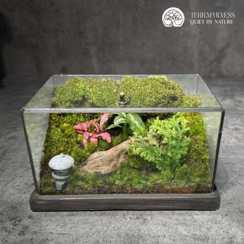 Terrarium Vườn Nhỏ | Bể Chữ Nhật - Trang Trí Bàn Làm Việc