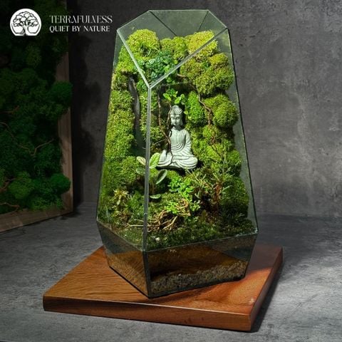 Terrarium Zen Phật Tĩnh Tâm - Bể Đa Giác - Size Trung - Trang Trí Không Gian An Lạc