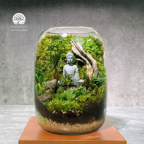 Terrarium Tĩnh Thiền | Bể Tròn Trang Trí Không Gian Thư Giãn