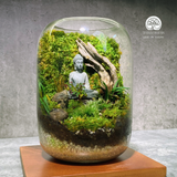 Terrarium Tĩnh Thiền | Bể Tròn Trang Trí Không Gian Thư Giãn