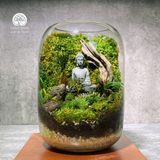 Terrarium Tĩnh Thiền | Bể Tròn Trang Trí Không Gian Thư Giãn