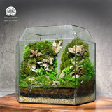 Terrarium