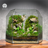 Terrarium