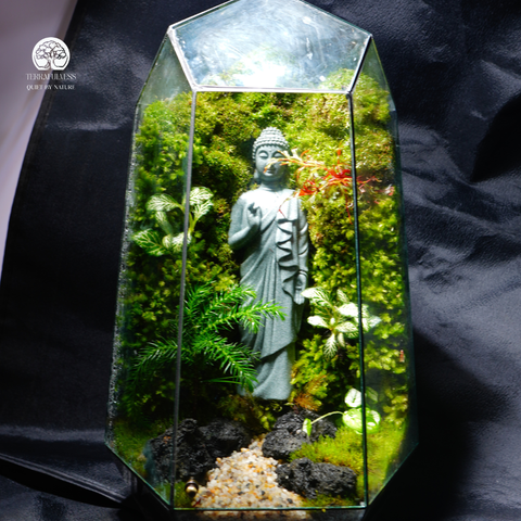 Terrarium Linh Thiêng - Bể Đa Giác - Size Trung - Trang trí bàn làm việc