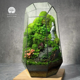 Terrarium