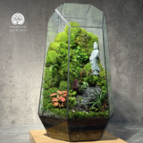 Terrarium