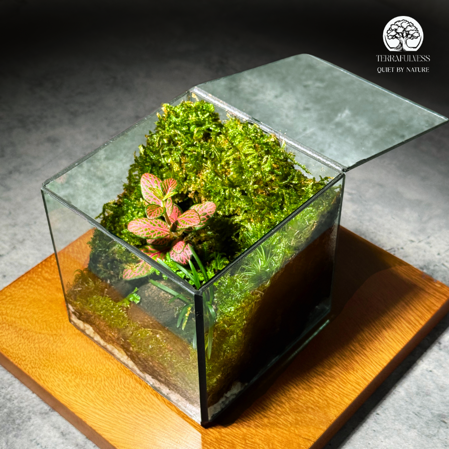 Terrarium Rêu Đá | Bể Rubik Để Bàn | Terrafulness – Sản Xuất Terrarium ...