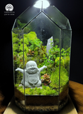Terrarium Zen Tĩnh - Bể Đa Giác Đứng - Size Trung - Để Bàn - Tượng Phật Di Lặc