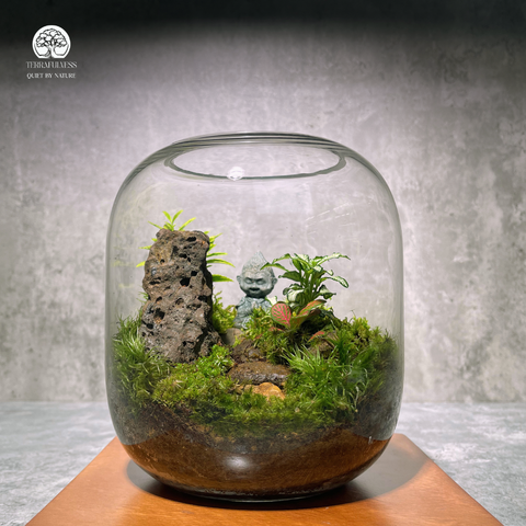 Terrarium Rêu Đá - Bể Tròn - Size Trung - Quà tặng nghệ thuật - Tượng Ngộ Không