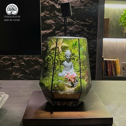 Terrarium Zen Thiền Tịnh – Bể Đa Giác – Để Bàn, Trang Trí