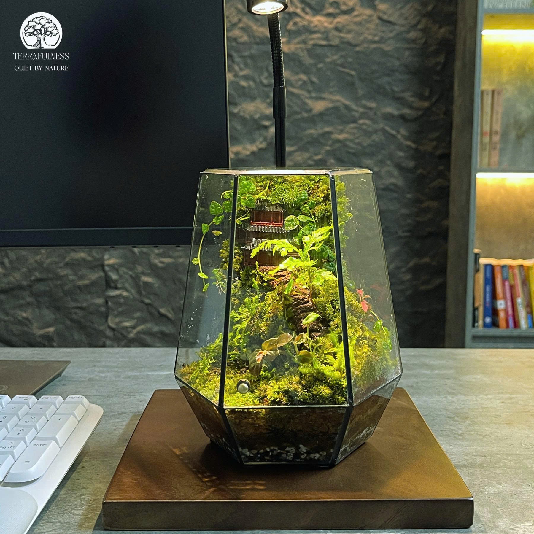Terrarium Rêu Đá | Bể Đa Giác Để bàn – Sản Xuất Terrarium Sỉ và Lẻ HCM ...