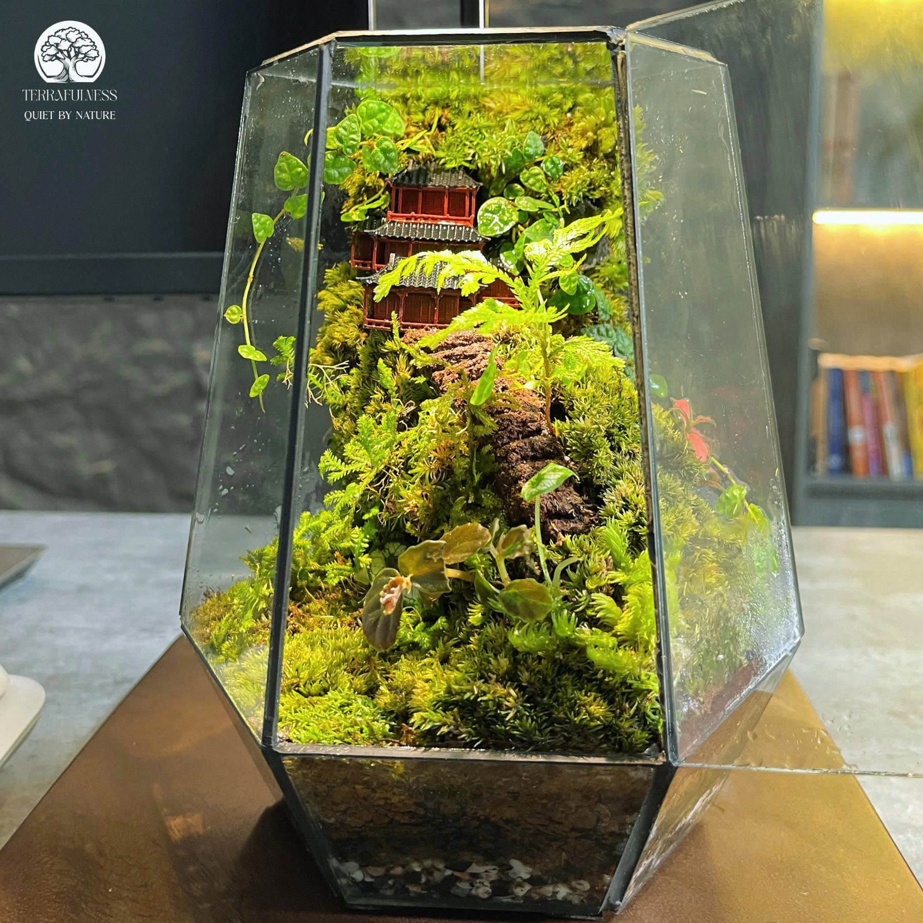 Terrarium Rêu Đá | Bể Đa Giác Để bàn – Sản Xuất Terrarium Sỉ và Lẻ HCM ...