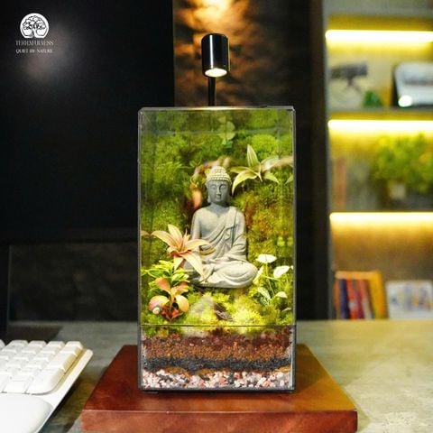 Zen Terrarium  | Bể Chữ Nhật Đứng Trang Trí Thiền