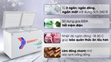 Tủ đông Sanaky 260 lít VH-3699W1