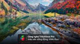 Google Tivi Sony 4K 43 inch K-43S30