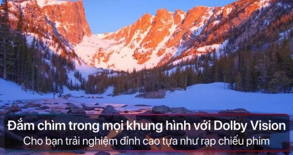 Google Tivi TCL 4K 55 inch 55P737