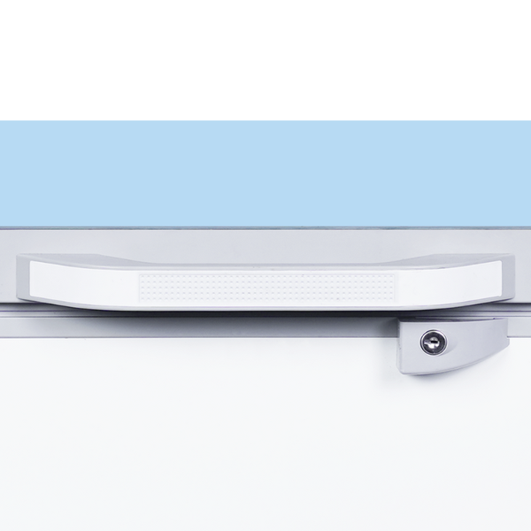 Tủ đông Sanaky VH-4099A2KD 305 lít