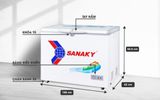 Tủ đông Sanaky 270L VH-3699A1