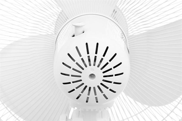 Quạt cây Midea MFS400M0BPW 55W