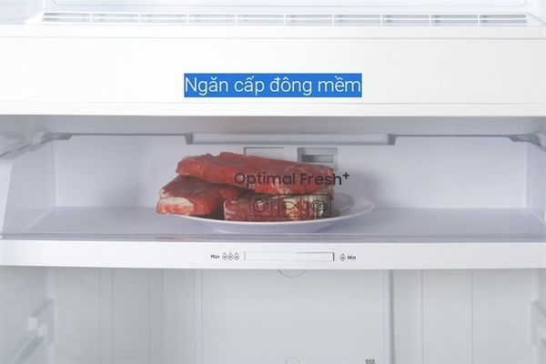 Tủ lạnh Samsung Inverter 2 cánh 406 lít RT42CG6584B1SV