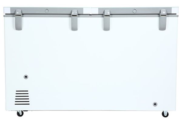 Tủ đông Sanaky 280 lít VH-4099W2KD