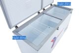 Tủ đông Sanaky Inverter 530 lít VH-6699HY3