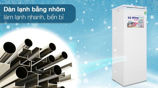 Tủ đông Sanaky 213 lít VH-230VD