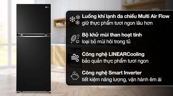 Tủ lạnh LG Inverter 217 Lít GV-B212WB (2 cánh)