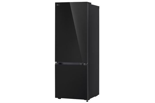 Tủ lạnh LG Inverter 335 lít LBB33BLGA