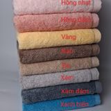  COMBO 5 Khăn Gội Đầu xuất Hàn 40x80cm THAI BÌNH TOWEL Cotton 100% Mềm Mại Siêu Thấm Hút Không Xù Bông  Nhà Tắm Khăn Tắm khăn gia dinh 