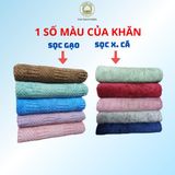  Combo 3 khăn tắm 70x140cm lông cừu THAI BINH TOWEL sợi microfiber mềm mịn, tặng 5 khăn lau đa năng Nhà Tắm khan  long khăn  tắm khăn  tắm 