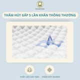  Khăn Tắm Sợi Tre Cao Cấp Thai Binh Towel 60x120cm hoặc 50x100cm Siêu Thấm Hút Không Xù Bông Cotton Nhà Tắm khantam  50x100 khantam  royal khăn  tắm 