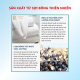  COMBO 5 Khăn Mặt 28x50cm THAI BINH TOWEL Cotton 100% Mềm Mại Siêu Thấm Hút Không Xù Bông LINH Nhà Tắm khăn tắm có thể tái sử dụng khăn  tắm 
