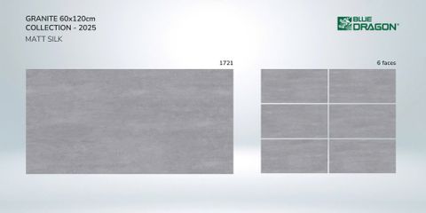 GẠCH MEN THANH LONG 1721