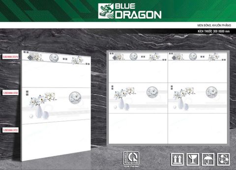 GẠCH MEN THANH LONG BỘ BD3060