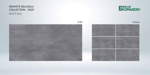 GẠCH MEN THANH LONG 1720