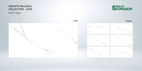 GẠCH MEN THANH LONG 1727