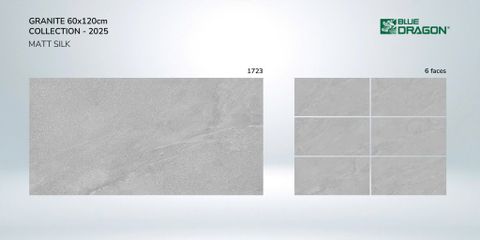 GẠCH MEN THANH LONG 1723