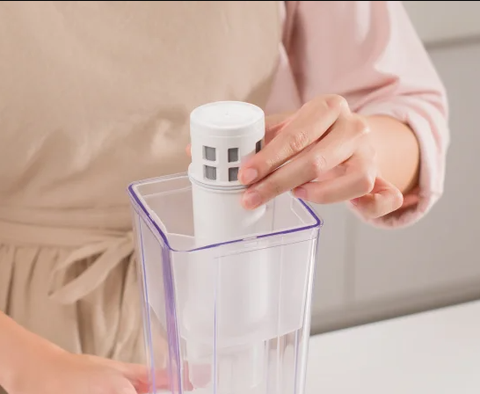 Bình lọc nước cầm tay Mitsubishi Cleansui EJ101