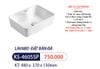 Lavabo đặt bàn KANISS KS 4605SP