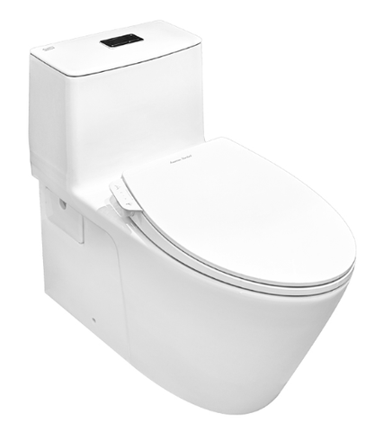 Bộ cầu 1 khối Acacia VF 1808TSW