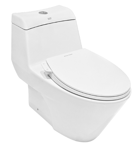 Bộ cầu 1 khối Active VF 2010SW