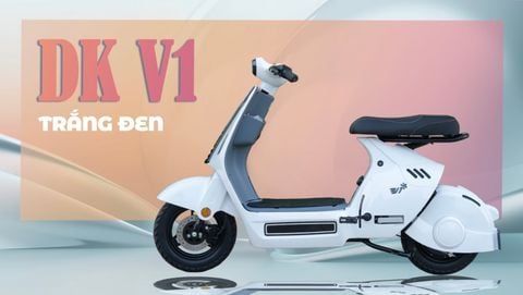 DK V1