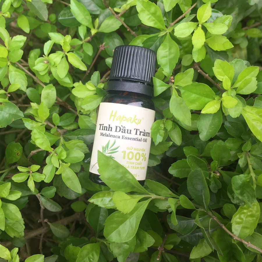  Tinh Dầu Tràm Tự Nhiên Nguyên Chất Hapaku – Bảo Vệ Sức Khỏe Gia Đình Từ Thiên Nhiên 