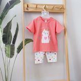  Bộ lửng bé gái thun cotton áo rộng quần legging cá tính, đồ bộ bé gái dễ thương NNB007 