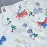  Pijama bé trai tay ngắn quần dài vải xô cotton Áo Lá Homewear A029, bộ ngủ bé trai 