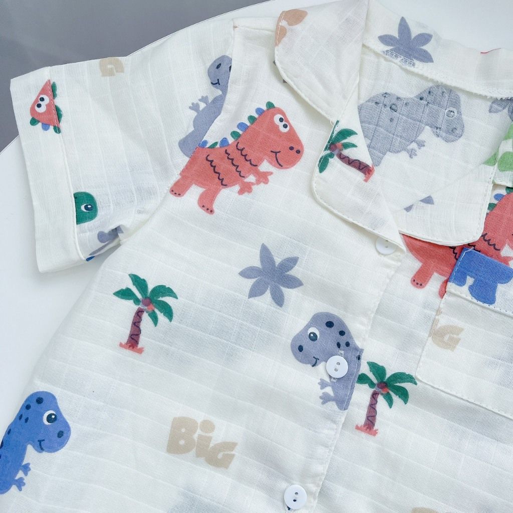  Pijama bé trai tay ngắn quần dài vải xô cotton Áo Lá Homewear A029, bộ ngủ bé trai 