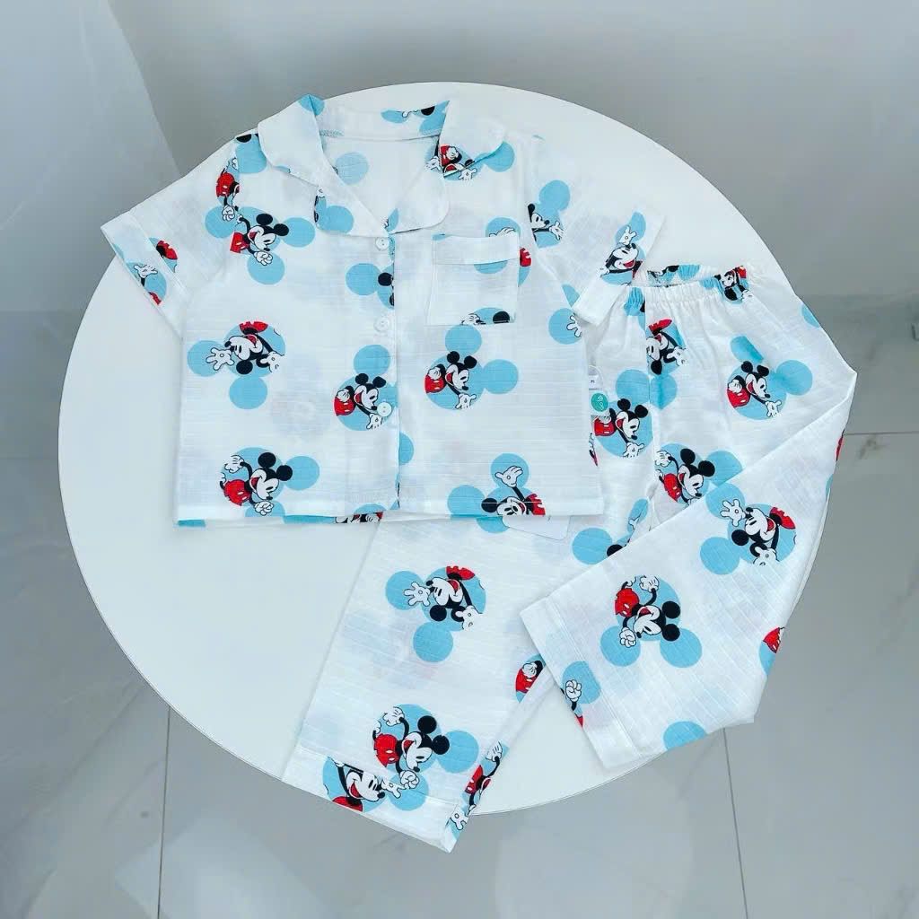  Pijama bé trai tay ngắn quần dài vải xô cotton Áo Lá Homewear A029, bộ ngủ bé trai 